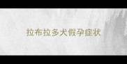 拉布拉多犬假孕症状