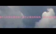 布偶猫什么时候买最合适新手必看选购指南附3大避坑要点