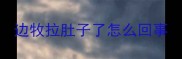 边牧拉肚子了怎么回事