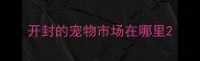 开封的宠物市场在哪里