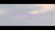哈士奇喜欢跑怎么办