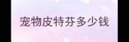 宠物皮特芬多少钱