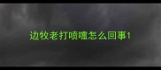 边牧老打喷嚏怎么回事