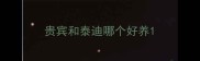 贵宾和泰迪哪个好养