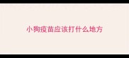 小狗疫苗应该打什么地方