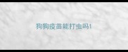 狗狗疫苗能打虫吗