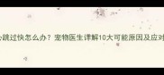 狗狗心跳过快怎么办宠物医生详解10大可能原因及应对措施