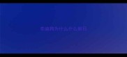 泰迪狗为什么什么都日