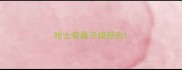 哈士奇鼻子掉颜色