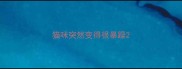 猫咪突然变得很暴躁