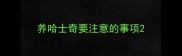 养哈士奇要注意的事项