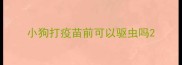 小狗打疫苗前可以驱虫吗