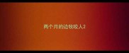 两个月的边牧咬人