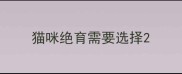 猫咪绝育需要选择