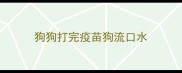 狗狗打完疫苗狗流口水