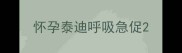 怀孕泰迪呼吸急促