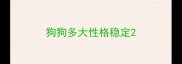 狗狗多大性格稳定