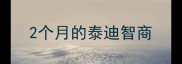2个月的泰迪智商