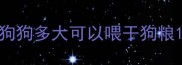 狗狗多大可以喂干狗粮