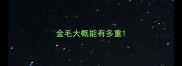 金毛大概能有多重