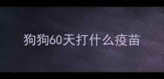 狗狗60天打什么疫苗