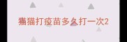 猫猫打疫苗多久打一次