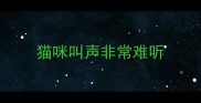 猫咪叫声非常难听