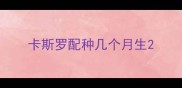 卡斯罗配种几个月生