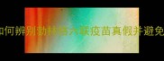 宠物疫苗假货鉴别全攻略如何辨别勃林格六联疫苗真假并避免损失北京上海养宠必看