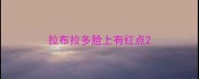 拉布拉多脸上有红点