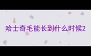 哈士奇毛能长到什么时候