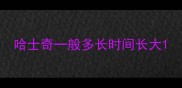 哈士奇一般多长时间长大