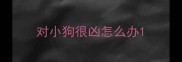 对小狗很凶怎么办