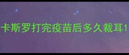 卡斯罗打完疫苗后多久裁耳