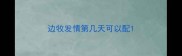 边牧发情第几天可以配