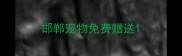 邯郸宠物免费赠送