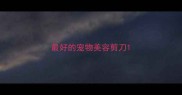 最好的宠物美容剪刀
