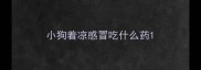 小狗着凉感冒吃什么药