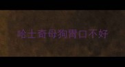 哈士奇母狗胃口不好