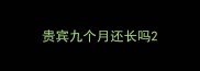 贵宾九个月还长吗