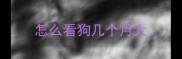 怎么看狗几个月大