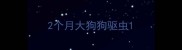 2个月大狗狗驱虫