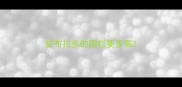 拉布拉多的围栏要多高