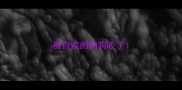 被自家的狗狗咬了