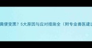小狗粪便变黑5大原因与应对措施全附专业兽医建议