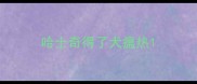 哈士奇得了犬瘟热