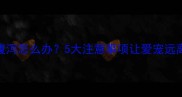 猫咪喝牛奶后腹泻怎么办5大注意事项让爱宠远离乳糖不耐危机