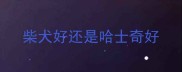 柴犬好还是哈士奇好