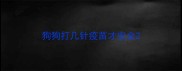 狗狗打几针疫苗才安全