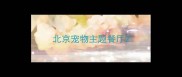 北京宠物主题餐厅